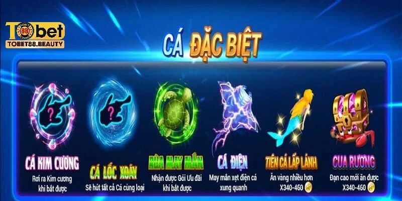 Tại sao nên tham gia bắn cá rùa xanh tại TOBET88?