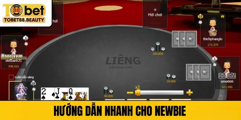 Hướng dẫn nhanh cho newbie  